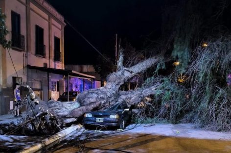 GRAVES DAÑOS DEJÓ UNA FUERTE TORMENTA EN SU PASO POR CHAMICAL