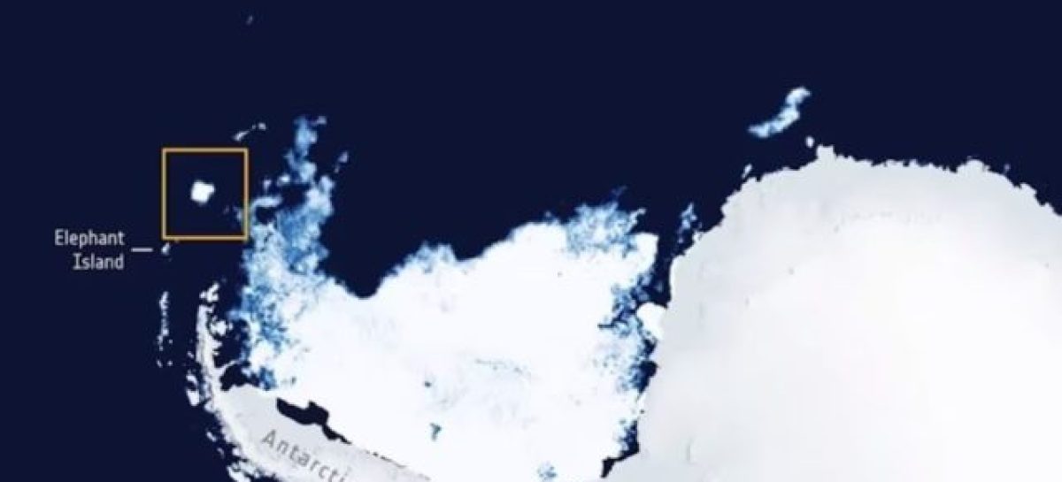 EL ICEBERG MÁS GRANDE DEL MUNDO SE DESPRENDIÓ DE LA ANTÁRTIDA Y AVANZA A LA DERIVA