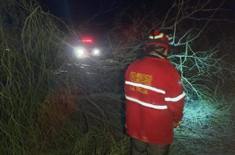 GRAVES DAÑOS TRAS EL TEMPORAL DE VIENTO, LLUVIA Y GRANIZO