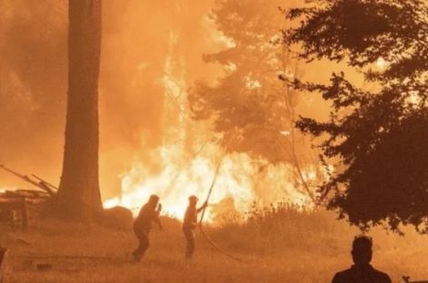 INCENDIOS. NACIÓN TRANSFIRIÓ LA DIRECCIÓN NACIONAL DE MANEJO DEL FUEGO AL MINISTERIO DE SEGURIDAD
