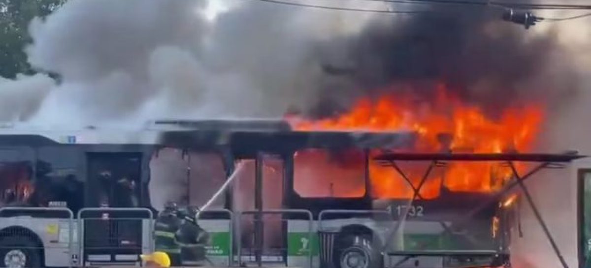 TRAGEDIA EN BRASIL. UNA AVIONETA CAYÓ EN UNA AVENIDA DE SAN PABLO Y SE ESTRELLÓ CONTRA UN COLECTIVO