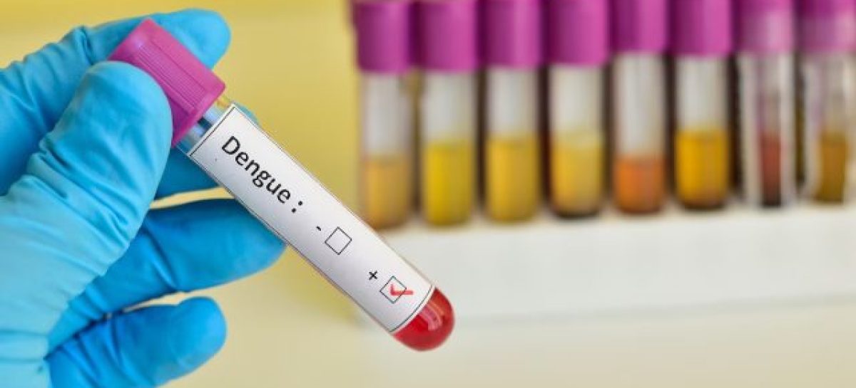 «HOY YA TENEMOS UN COMPORTAMIENTO ENDÉMICO DEL DENGUE»