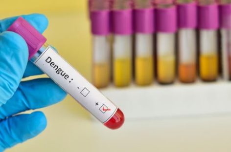 «HOY YA TENEMOS UN COMPORTAMIENTO ENDÉMICO DEL DENGUE»