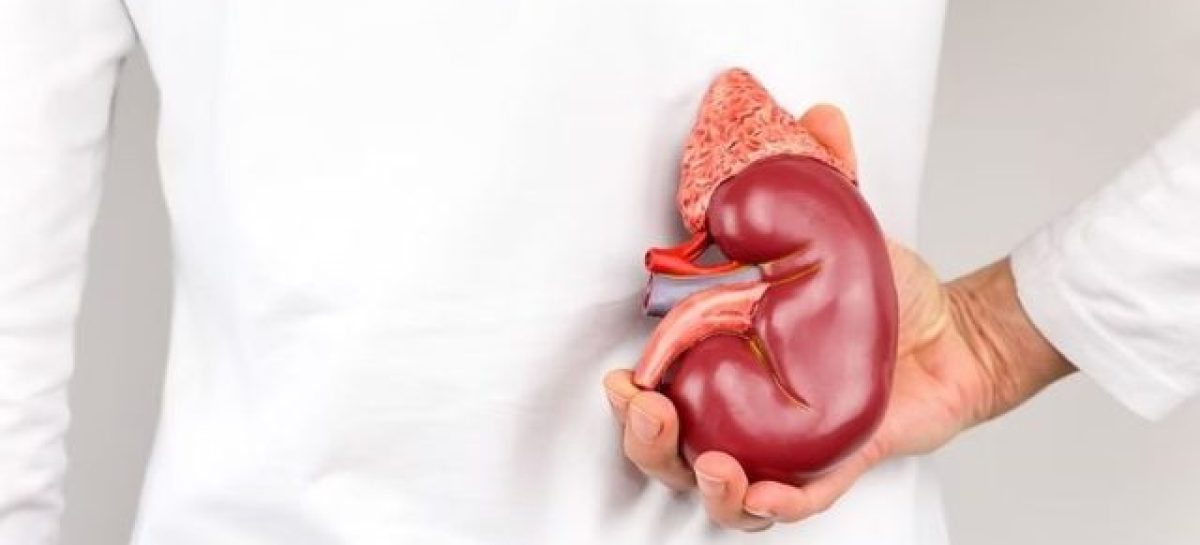 EN LA RIOJA 71 PACIENTES ESPERAN UN TRASPLANTE RENAL