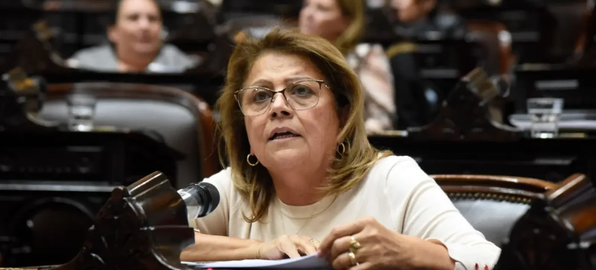 2025 ELECTORAL: NUEVO APOYO A FAVOR DE «DESDOBLAR» COMICIOS