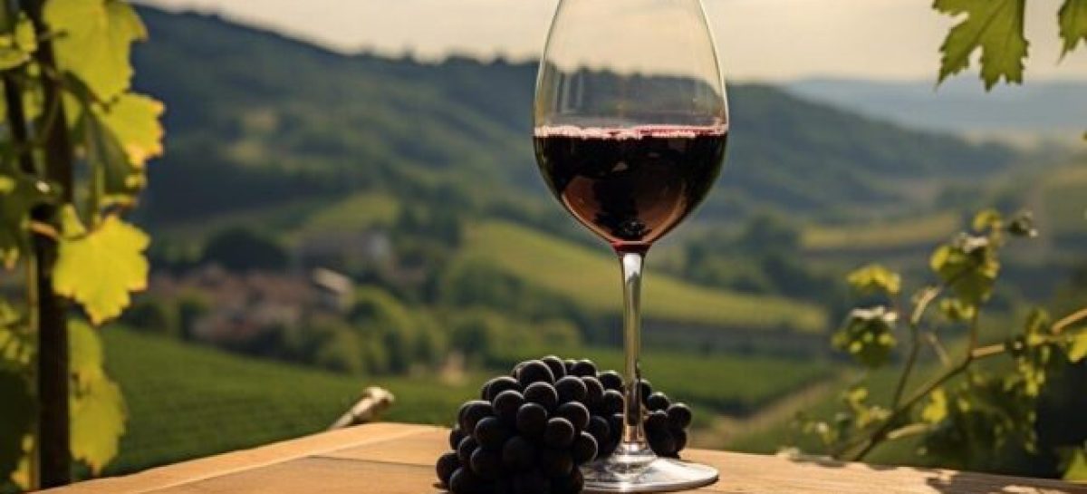 RUTA DEL VINO, UNA NUEVA ALTERNATIVA TURÍSTICA PARA ESTA SEMANA SANTA