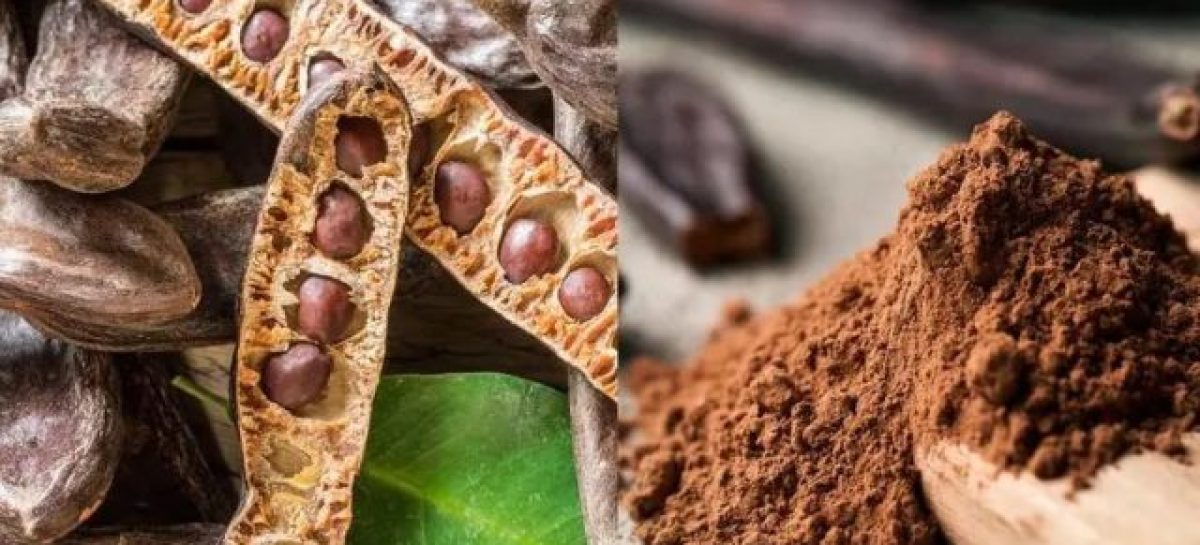 HARINA DE ALGARROBO, UNA ALTERNATIVA PARA EL ALIMENTO DEL FUTURO