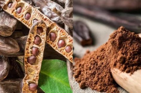 HARINA DE ALGARROBO, UNA ALTERNATIVA PARA EL ALIMENTO DEL FUTURO