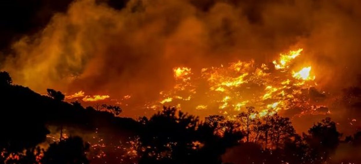 OLA DE CALOR EN EL HEMISFERIO NORTE. INCENDIOS FORESTALES EN TURQUÍA Y EVACUACIONES MASIVAS EN GRECIA