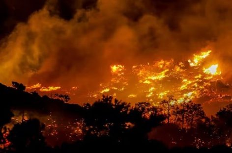 OLA DE CALOR EN EL HEMISFERIO NORTE. INCENDIOS FORESTALES EN TURQUÍA Y EVACUACIONES MASIVAS EN GRECIA