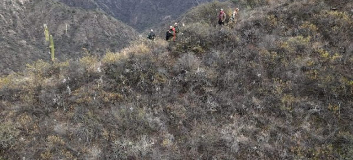 150 PERSONAS BUSCAN AL HOMBRE DESAPARECIDO EN LA MONTAÑA
