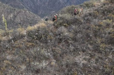 150 PERSONAS BUSCAN AL HOMBRE DESAPARECIDO EN LA MONTAÑA