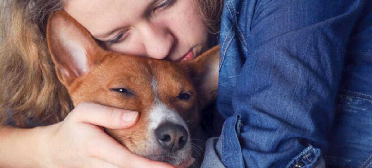 LOS PERROS Y SU RELACIÓN CON LOS HUMANOS. ¿PORQUÉ AUMENTAN LOS RIESGOS DE SUFRIR MORDEDURAS?