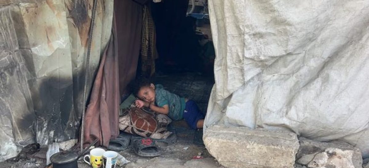 OTROS 27 CIVILES MURIERON BUSCANDO COMIDA EN GAZA Y CRECE LA DESESPERACIÓN