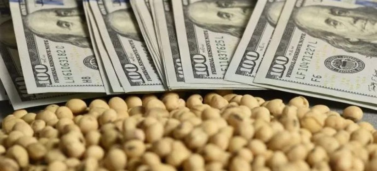 VOLVIERON LAS RETENCIONES. CUÁNTO ES LA ALÍCUOTA PARA GRANOS TRAS ALCANZAR EL CUPO QUE FIJÓ EL GOBIERNO