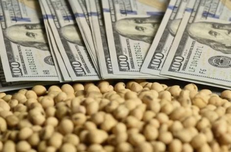 VOLVIERON LAS RETENCIONES. CUÁNTO ES LA ALÍCUOTA PARA GRANOS TRAS ALCANZAR EL CUPO QUE FIJÓ EL GOBIERNO