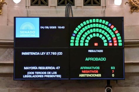 EL SENADO VOLTEÓ EL VETO DE MILEI DE LA LEY DE EMERGENCIA EN DISCAPACIDAD