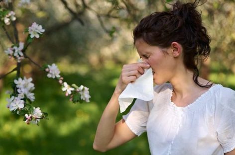 ALERGIAS EN PRIMAVERA. CÓMO AFECTAN A LAS PERSONAS Y CÓMO TRATARLAS
