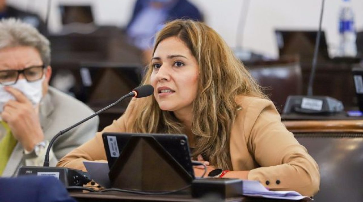 BUSCAN IMPEDIR INGRESO AL ESTADO RIOJANO DE CONDENADOS POR DELITOS SEXUALES