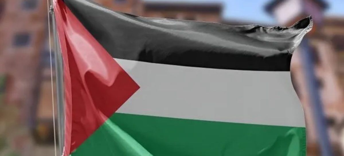 PALESTINA INSTA A LA COMUNIDAD INTERNACIONAL A ADOPTAR LA DECLARACIÓN DE NUEVA YORK POR LA PAZ