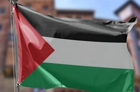 PALESTINA INSTA A LA COMUNIDAD INTERNACIONAL A ADOPTAR LA DECLARACIÓN DE NUEVA YORK POR LA PAZ