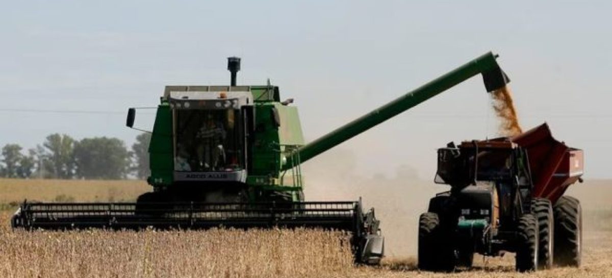 PARA AUMENTAR LA OFERTA DE DÓLARES, EL GOBIERNO ELIMINÓ LAS RETENCIONES AL CAMPO HASTA EL 31 DE OCTUBRE