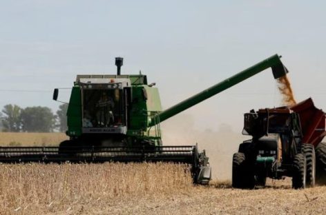 PARA AUMENTAR LA OFERTA DE DÓLARES, EL GOBIERNO ELIMINÓ LAS RETENCIONES AL CAMPO HASTA EL 31 DE OCTUBRE