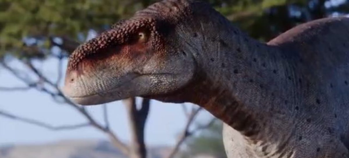 HALLAZGO. CIENTÍFICOS DEL CRILAR-CONICET PRESENTARON NUEVA ESPECIE DE DINOSAURIO ENCONTRADO EN TAMA