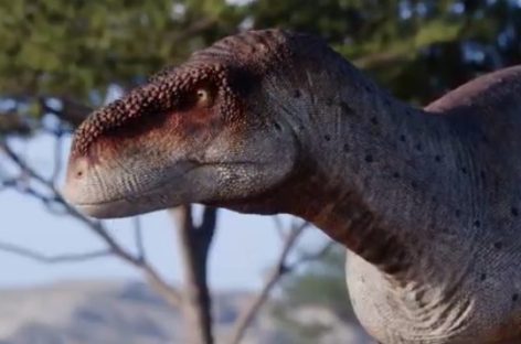HALLAZGO. CIENTÍFICOS DEL CRILAR-CONICET PRESENTARON NUEVA ESPECIE DE DINOSAURIO ENCONTRADO EN TAMA