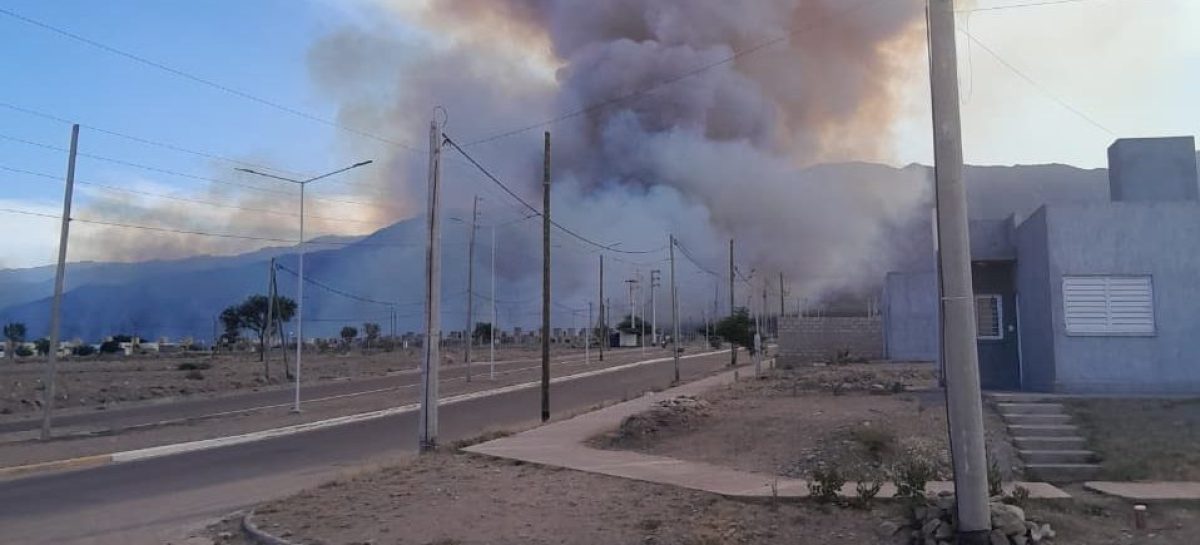 LOGRÓ SER SOFOCADO EL INCENDIO DE MAGNITUD EN ZONA SUR