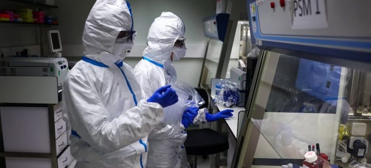 GRIPE H3N2 EN EUROPA. CUÁNDO LLEGARÍA A LA ARGENTINA SEGÚN LOS EXPERTOS Y QUÉ IMPACTO TENDRÍA