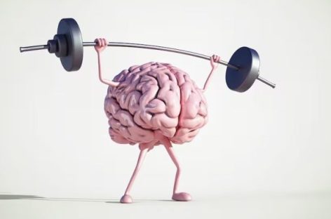 CIENTÍFICOS DEL CONICET CREARON SITIO WEB GRATUITO PARA ENTRENAR EL CEREBRO
