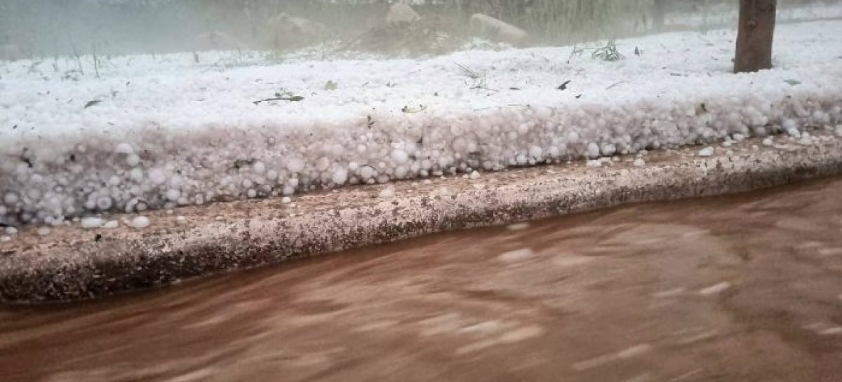 GRANIZO EN FAMATINA. 534 PRODUCTORES CON PÉRDIDAS CASI TOTALES