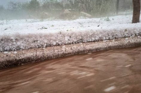 GRANIZO EN FAMATINA. 534 PRODUCTORES CON PÉRDIDAS CASI TOTALES