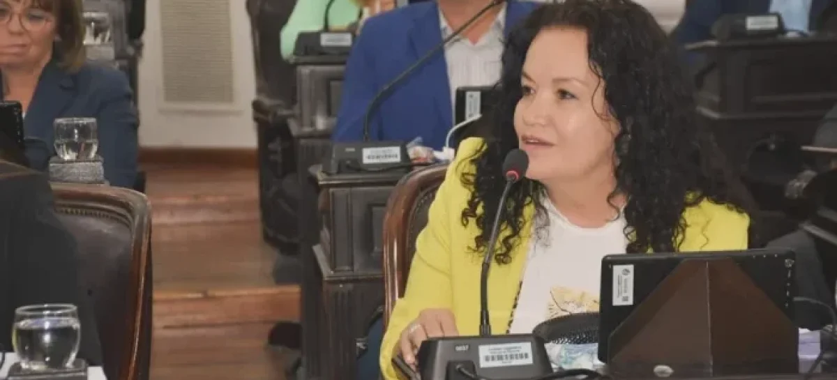 TERE LUNA CRITICÓ LA GESTIÓN EN CAPITAL Y DIJO QUE NO VOTARÍA A ARMANDO MOLINA