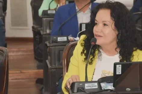 TERE LUNA CRITICÓ LA GESTIÓN EN CAPITAL Y DIJO QUE NO VOTARÍA A ARMANDO MOLINA