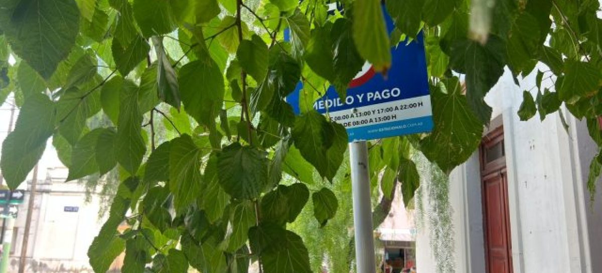 ESTACIONAMIENTO MEDIDO: EXPANSIÓN SIN ORDEN Y RECAUDACIÓN SIN RENDICIÓN