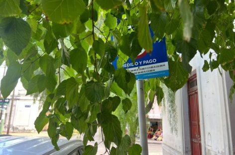 ESTACIONAMIENTO MEDIDO: EXPANSIÓN SIN ORDEN Y RECAUDACIÓN SIN RENDICIÓN