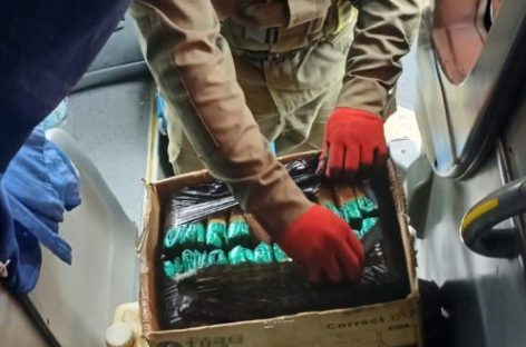 INCAUTARON 10 KILOS HOJAS DE COCA Y AVES SILVESTRES EN TALAMUYUNA