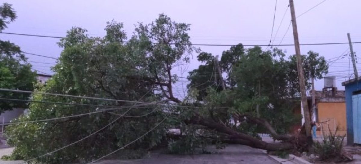 ÁRBOLES Y CABLES CAÍDOS Y CALLES DESTROZADAS, EL SALDO QUE DEJÓ EL TEMPORAL