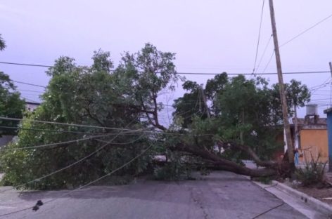 ÁRBOLES Y CABLES CAÍDOS Y CALLES DESTROZADAS, EL SALDO QUE DEJÓ EL TEMPORAL