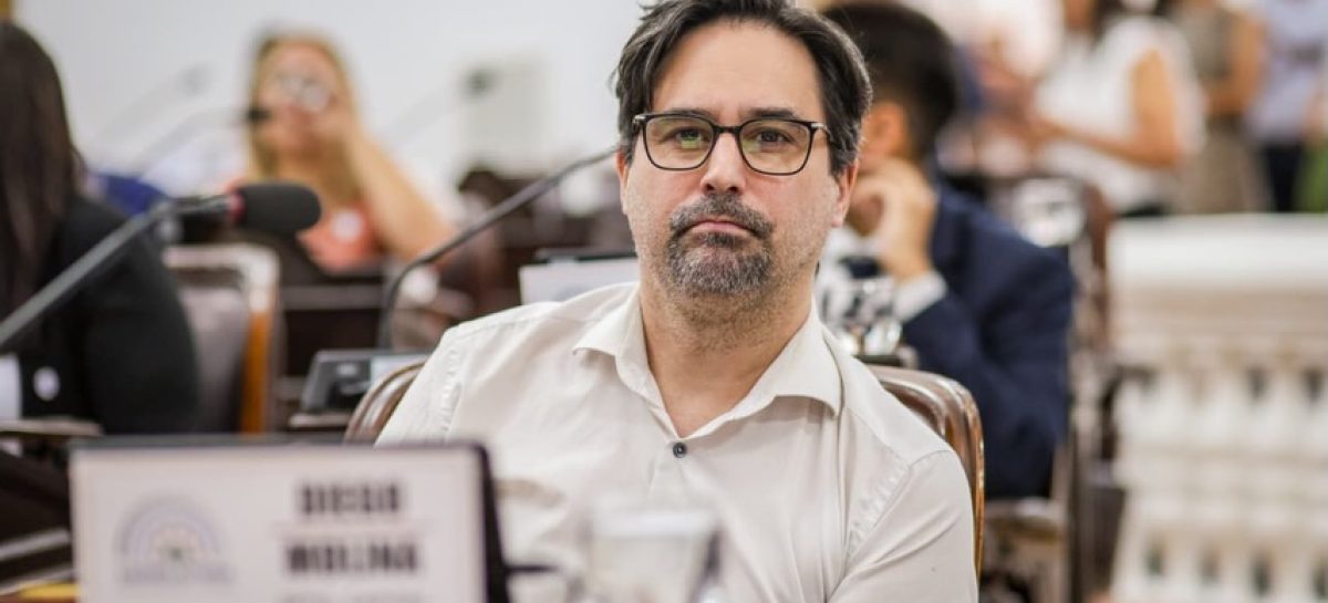 LA LIBERTAD AVANZA RECHAZÓ DE PLANO LA VUELTA DE LA LEY DE LEMAS