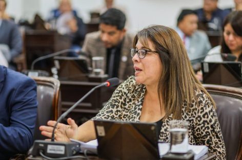 «LO PEOR QUE NOS PUEDE PASAR ES LA LEY DE LEMAS Y LAS COLECTORAS»