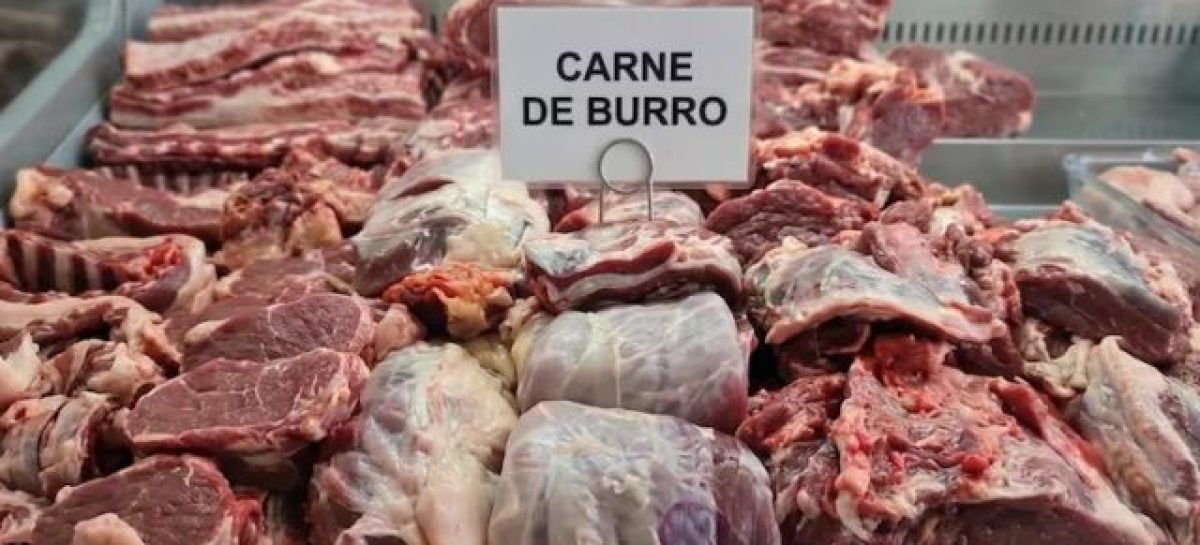 ADVIERTEN QUE LAS LEYES NACIONALES PROHIBEN LA VENTA DE CARNE DE BURRO