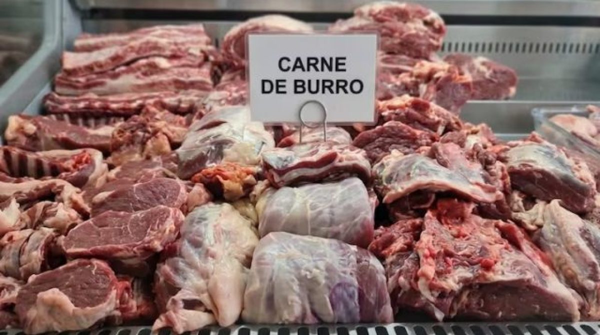 ADVIERTEN QUE LAS LEYES NACIONALES PROHIBEN LA VENTA DE CARNE DE BURRO
