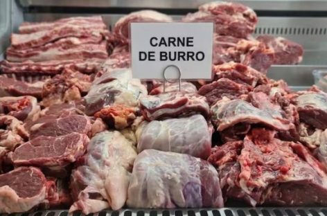 ADVIERTEN QUE LAS LEYES NACIONALES PROHIBEN LA VENTA DE CARNE DE BURRO