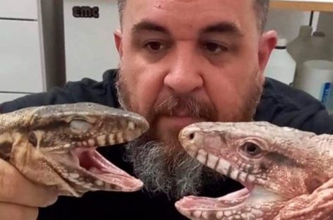 LA FUNDACIÓN «RESCATE DE AUTÓCTONOS» BUSCA UNA SEDE PARA FUNCIONAR