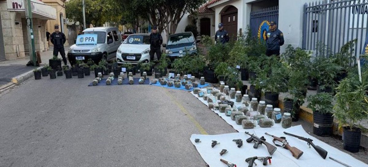 OPERATIVO ANTI DROGAS. INCAUTAN MARIHUANA, ARMAS, MUNICIONES Y VEHÍCULOS
