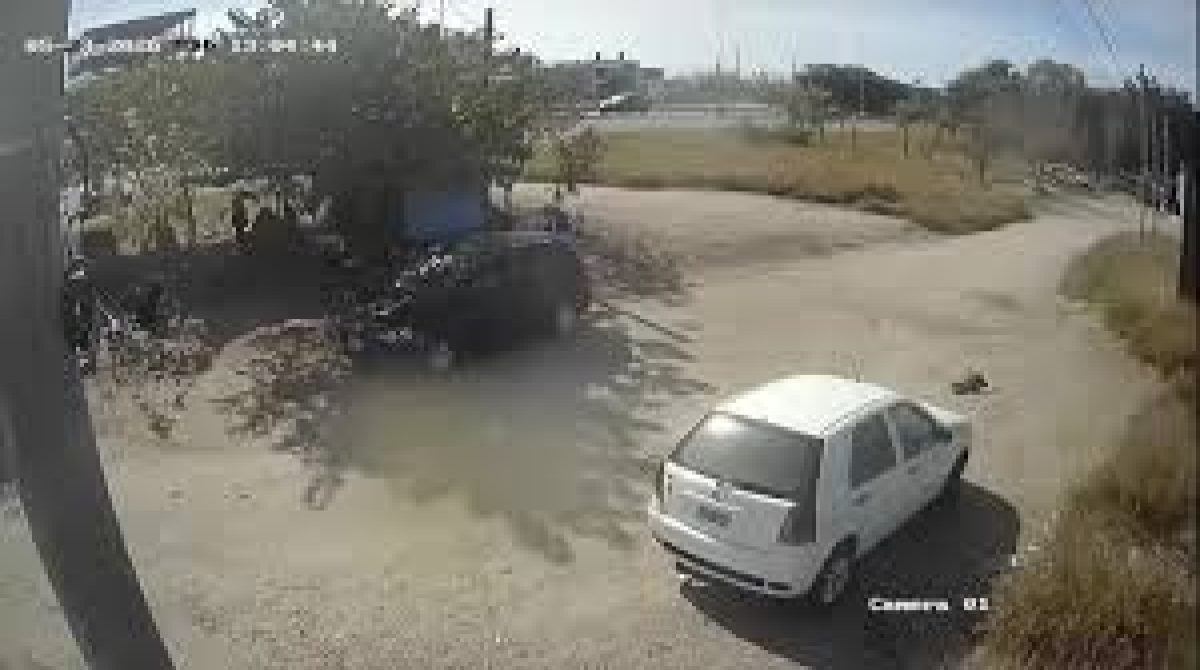 INDIGNACIÓN POR UN HOMBRE QUE ATROPELLÓ A UN PERRO, NO LO ASISTIÓ Y HUYÓ