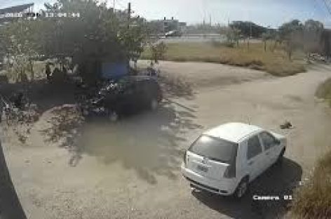 INDIGNACIÓN POR UN HOMBRE QUE ATROPELLÓ A UN PERRO, NO LO ASISTIÓ Y HUYÓ